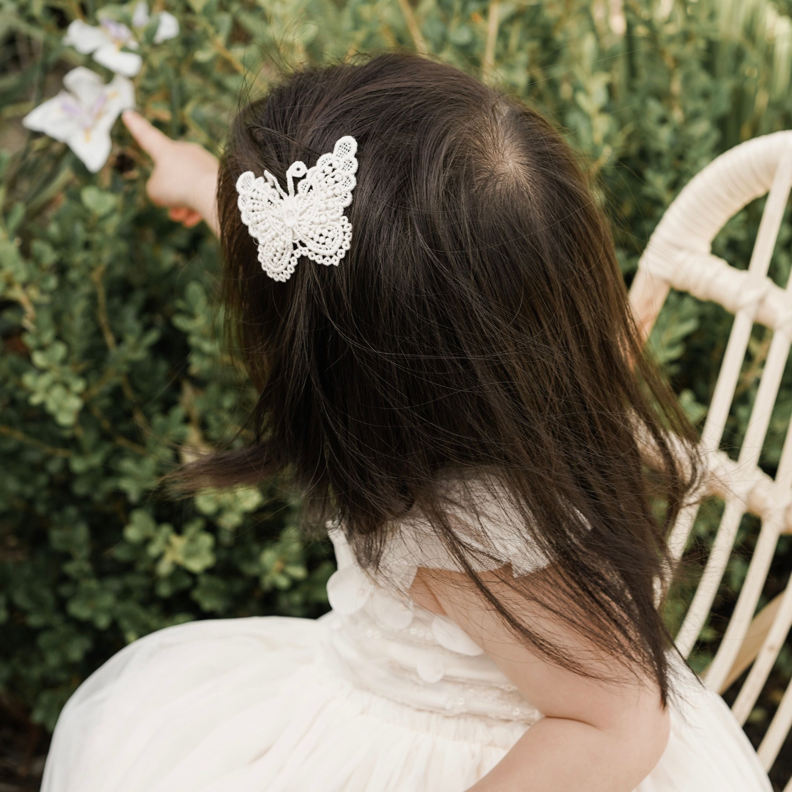 Clip | Butterfly